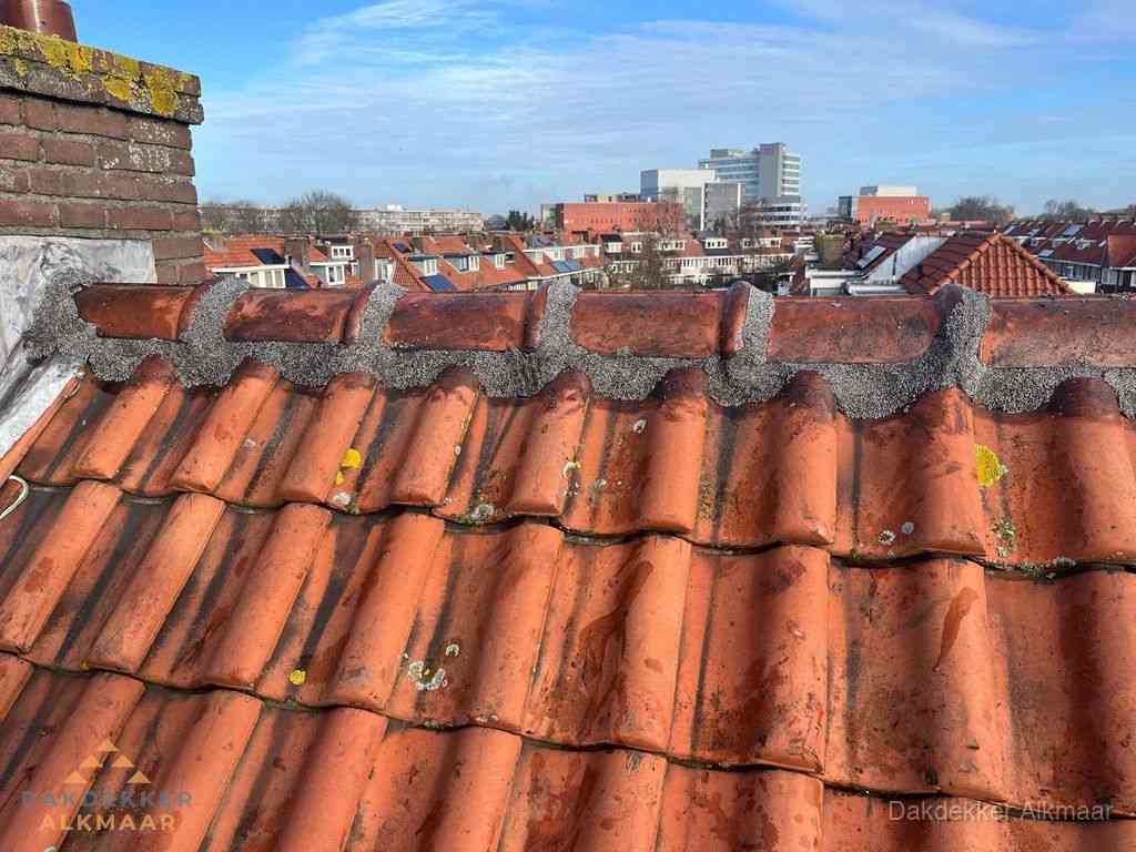 Alkmaar Daken Renoveren