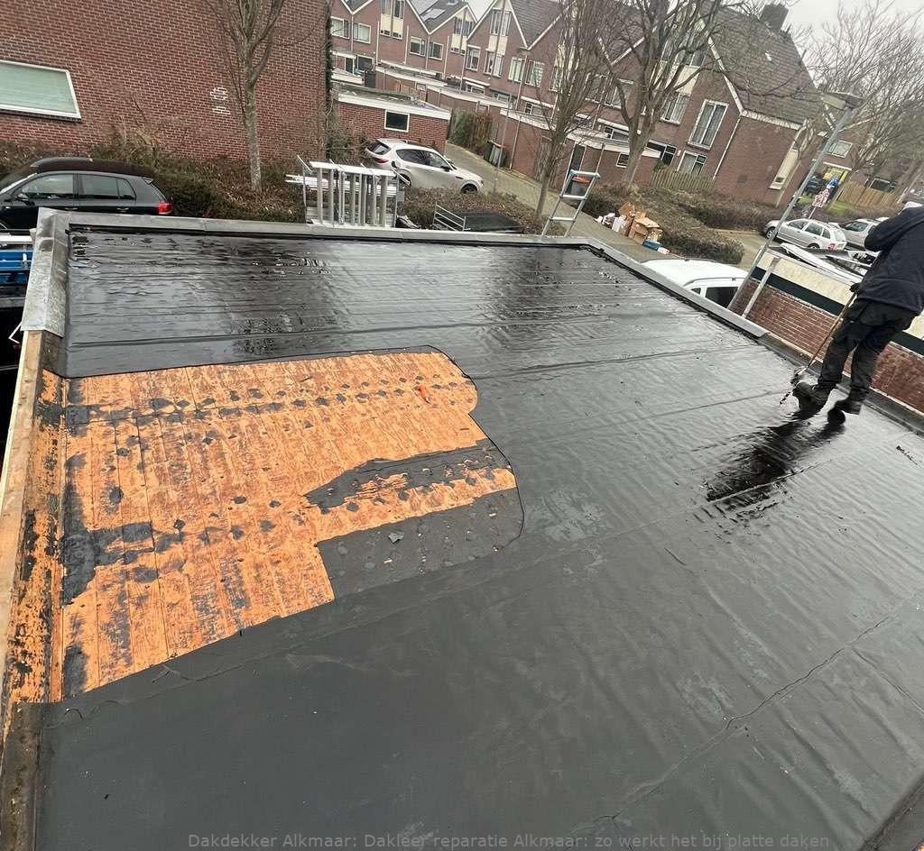 Dakleer Reparatie Alkmaar