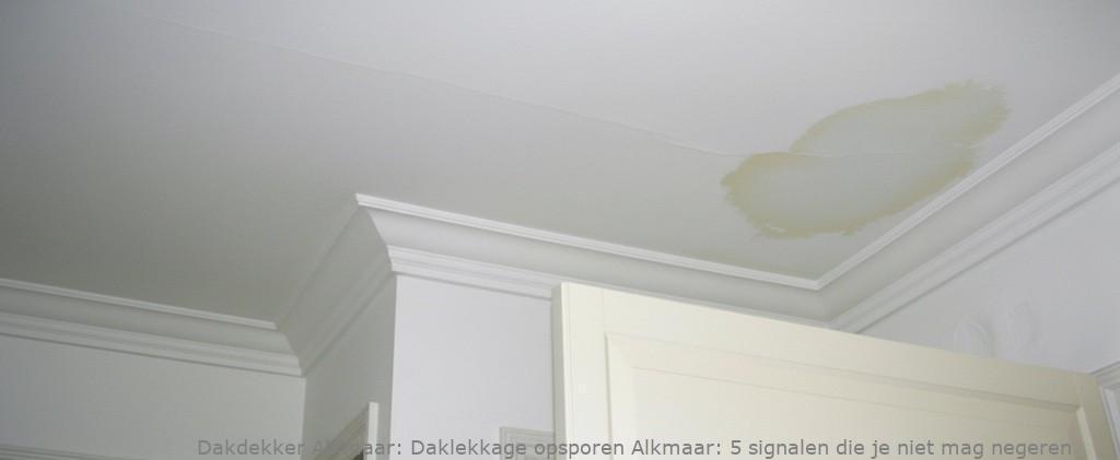Daklekkage Opsporen Alkmaar 1