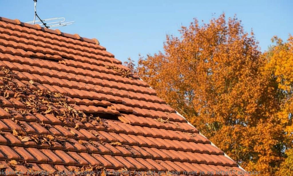 Dakrenovatie In Herfst Alkmaar
