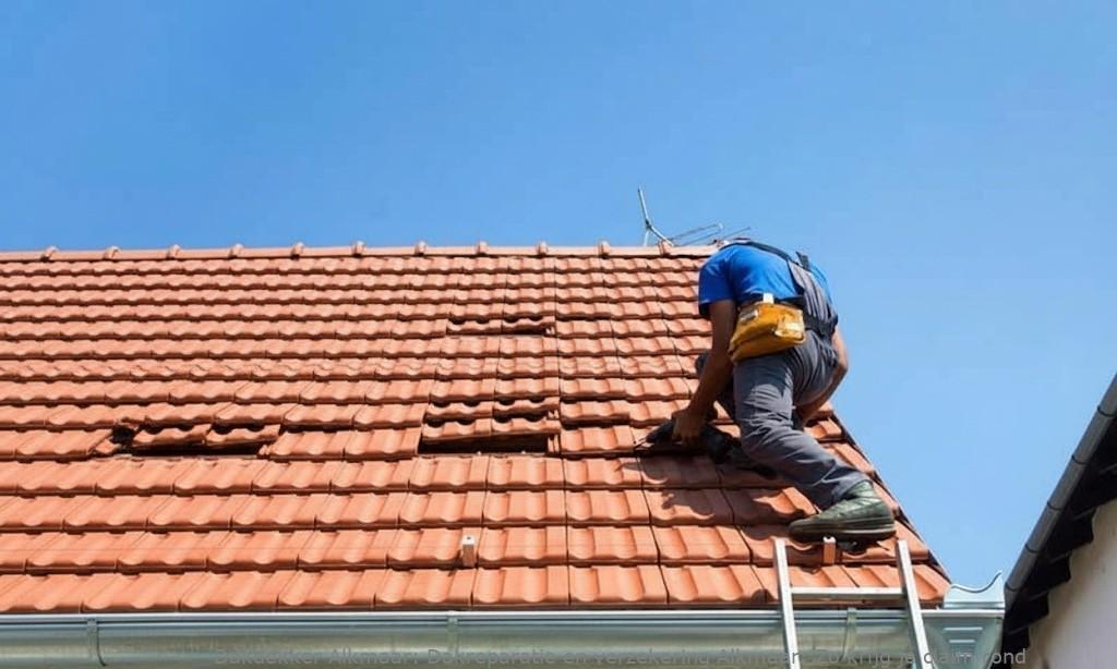 Dakreparatie En Verzekering Alkmaar