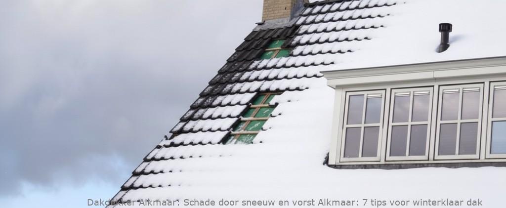 Schade Door Sneeuw En Vorst Alkmaar