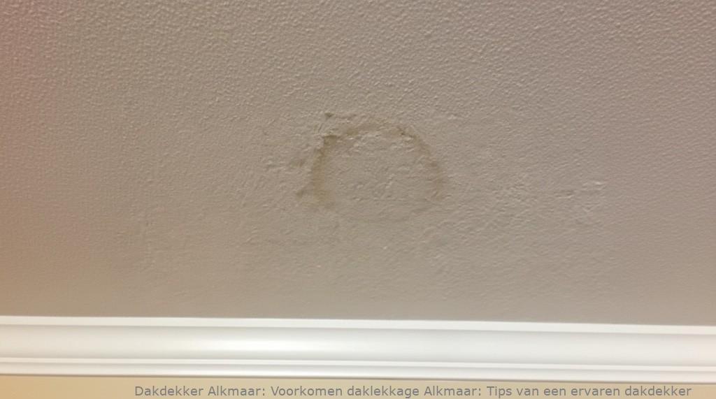 Voorkomen Daklekkage Alkmaar